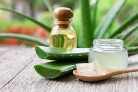 Aloe Vera Morning Freshness